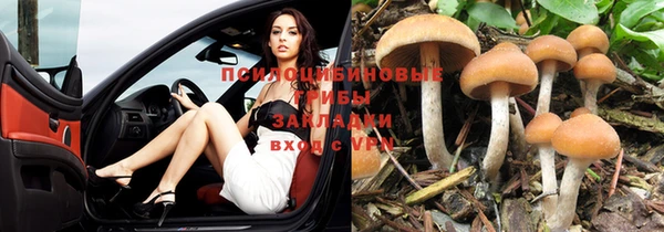 ECSTASY Алексин